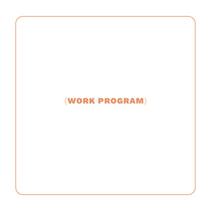 WORK PROGRAM